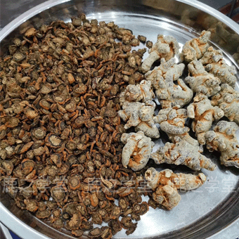 ��Ѫ������