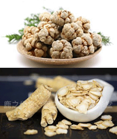 ���Ļ��ķ�