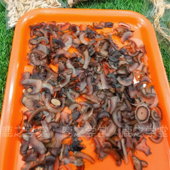 ��¹����Ƭ