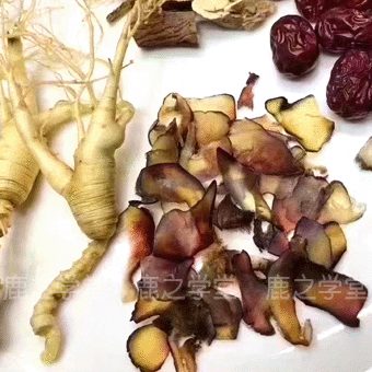 ��¹����Ƭ