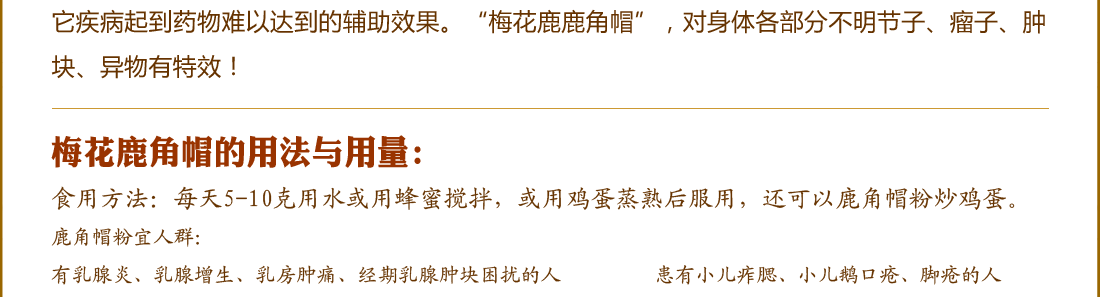 ÷��¹��ñ/��