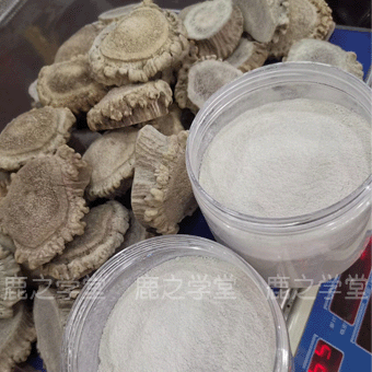 ÷��¹��ñ/��