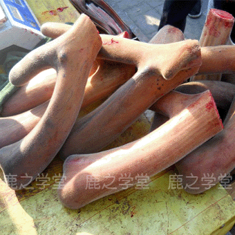 ÷��¹��¹��