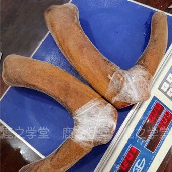 ÷��¹��¹��