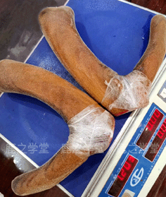 ÷����¹��