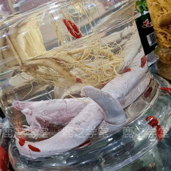 ÷��¹��¹��