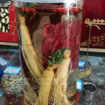 ÷��¹��¹��Ƭ