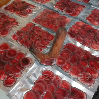 ÷��¹��¹��Ƭ