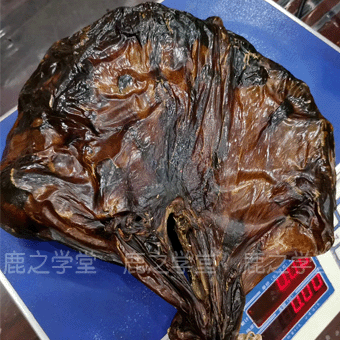 ÷��¹Ѫ̥,¹̥��