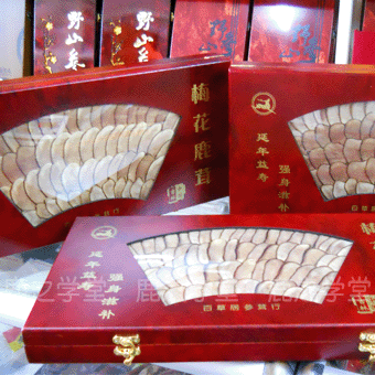 ÷��¹��Ƭ���