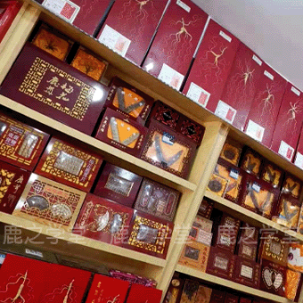 ÷��¹��Ƭ���