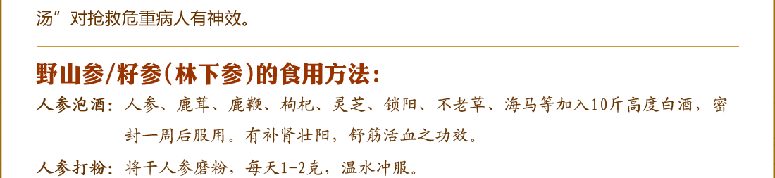 ����ɽҰɽ��/���²�