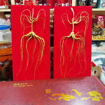 ����ɽҰɽ��/���²�