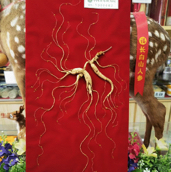 ����ɽҰɽ��/���²�