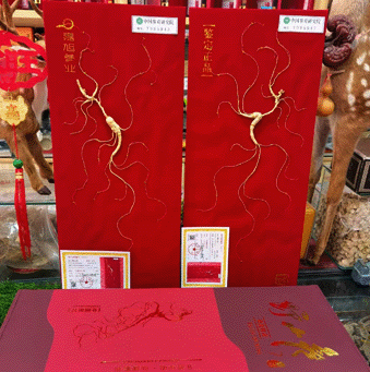 ����ɽҰɽ��/���²�