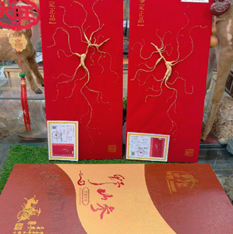 ����ɽҰɽ��/���²�