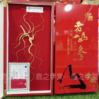 ����ɽҰɽ��/���²�