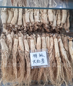 ����ɽ�ײ�