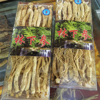 �ײ�����