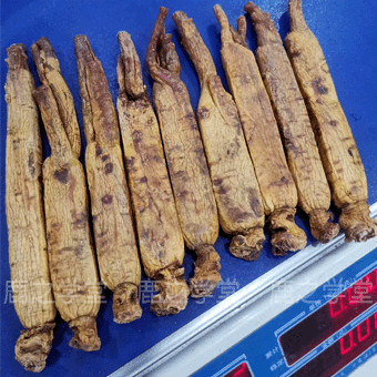 ���Ǹ�����