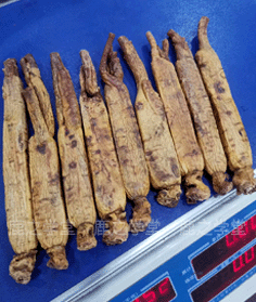 ���Ǹ�����