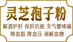 ��֥���ӷ�