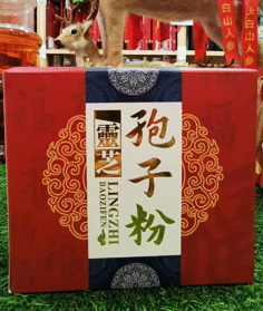 �Ʊ���֥���ӷ�