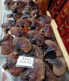 ����ɽҰ����֥