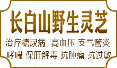 ����ɽҰ����֥