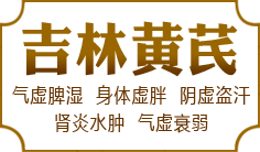 ���ֻ���