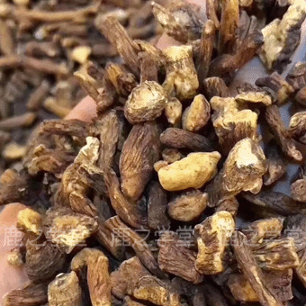 Ұ���ѹ�Ӣ��