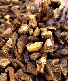 Ұ���ѹ�Ӣ����