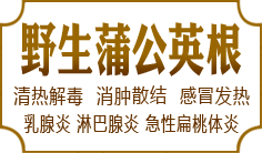 Ұ���ѹ�Ӣ����