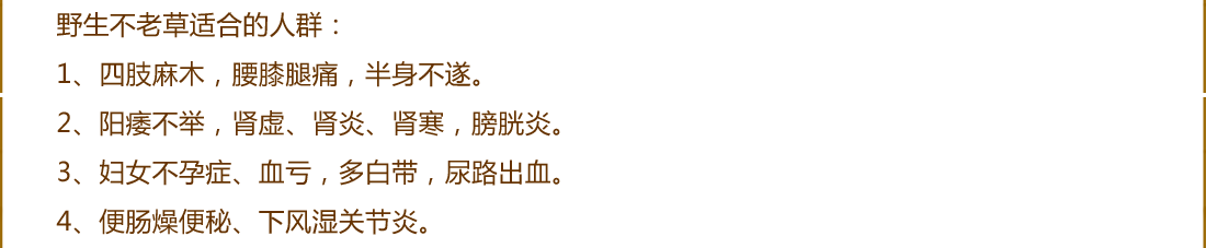 ����ɽҰ�����ϲ�