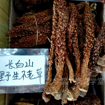 ����ɽҰ�����ϲ�