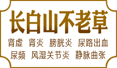 ����ɽ���ϲ�