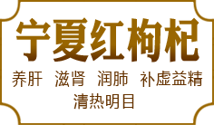 ���ĺ����