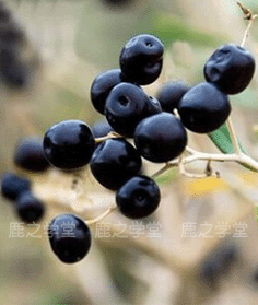 �ຣ�����