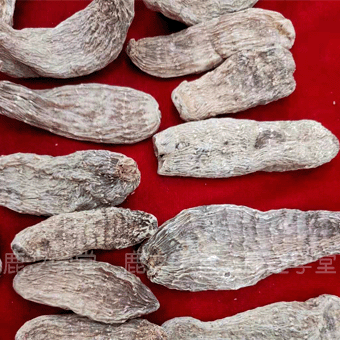 ����Ұ������