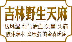 ����Ұ������