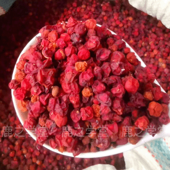 ����Ұ����ζ��