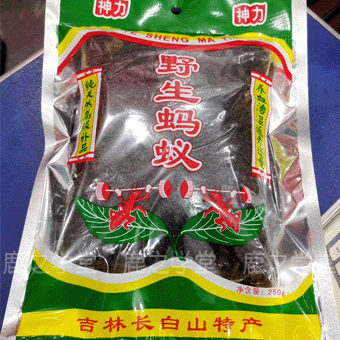 ����ɽ������