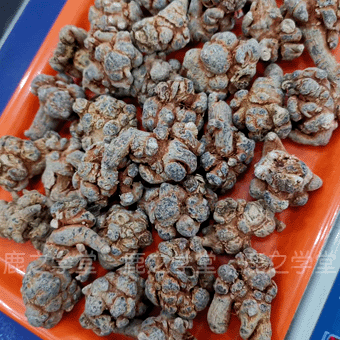 ����/���߷�