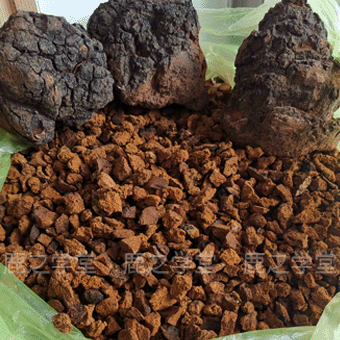 ����˹Ұ��������