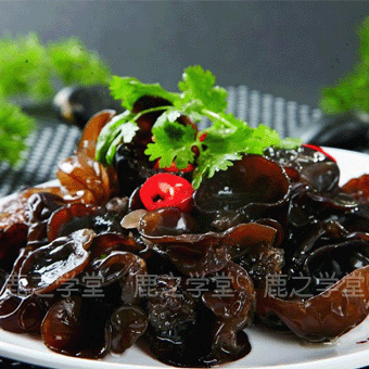 ���ֺ�ľ��