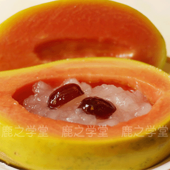 ����ɽҰ��������(ѩ��)