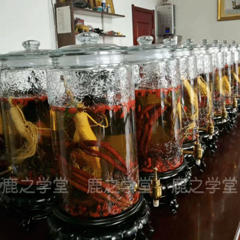 ����׳���̲��ݾ���(����ʪ)�ݾ���