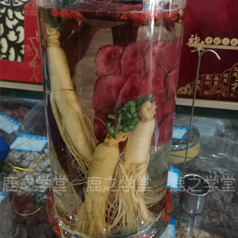 ����׳���̲��ݾ���(����ʪ)�ݾ���