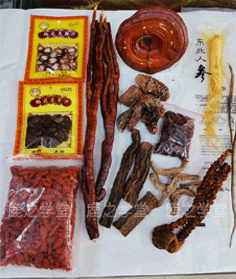 ����׳��/����ʪ�ݾ���