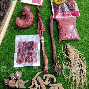 ����׳���̲��ݾ���(����ʪ)�ݾ���